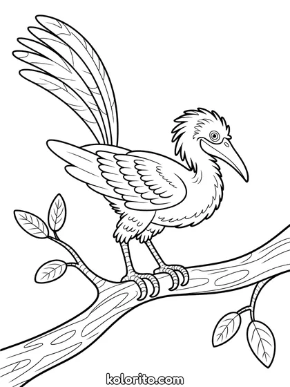 Archaeopteryx kleurplaat: een Archaeopteryx zit op een tak met zijn vleugels langs zijn lichaam