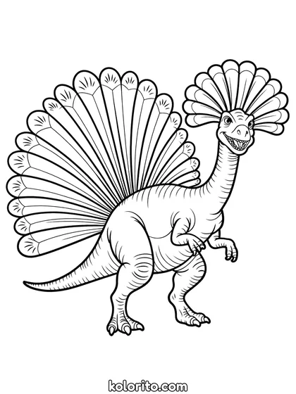 Dilophosaurus kleurplaat: een Dilophosaurus toont zijn twee kammen en halskraag