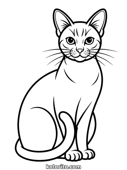 Siamese kat kleurplaat: een slanke siamese kat zit rechtop met puntige oren